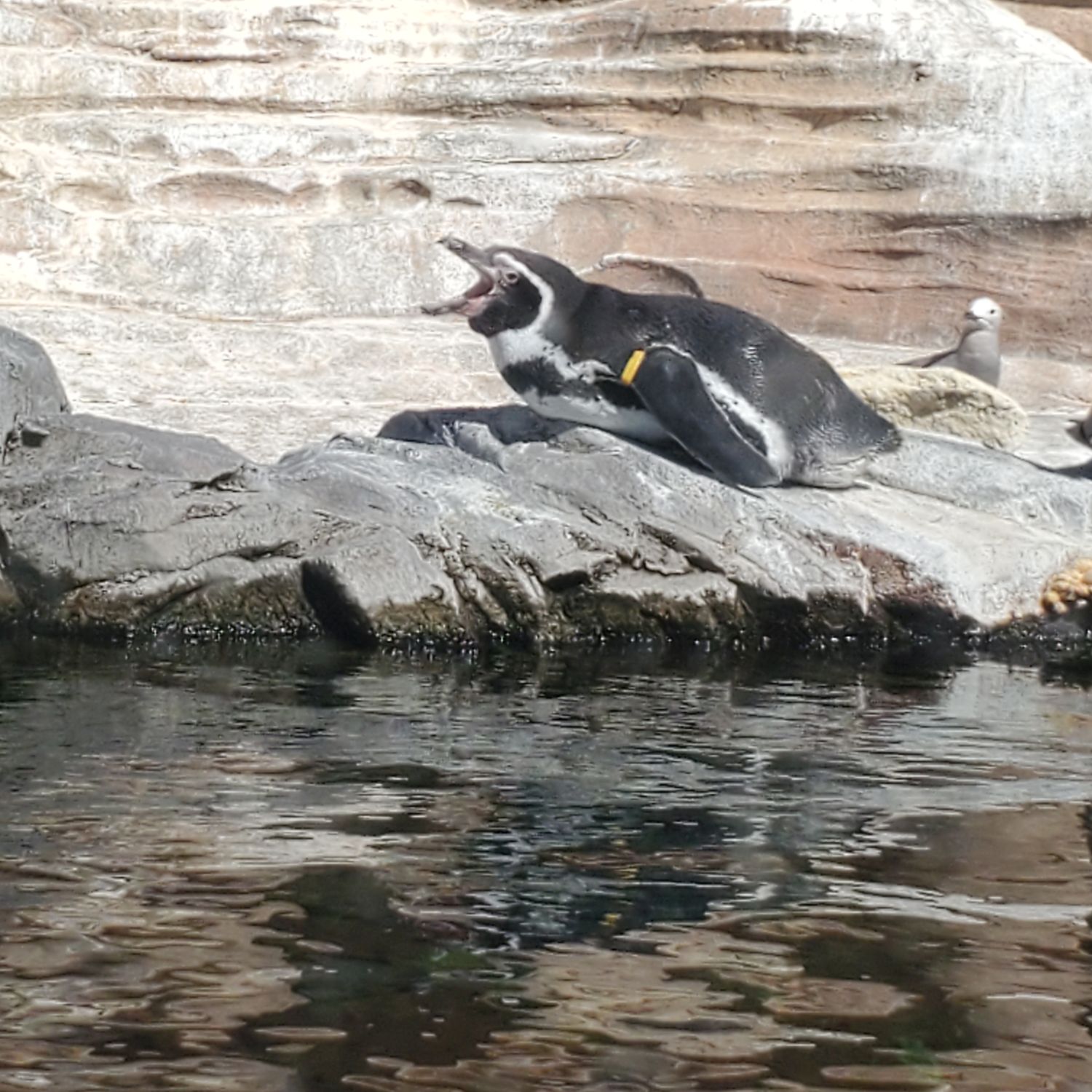 Sedgwick County Zoo 